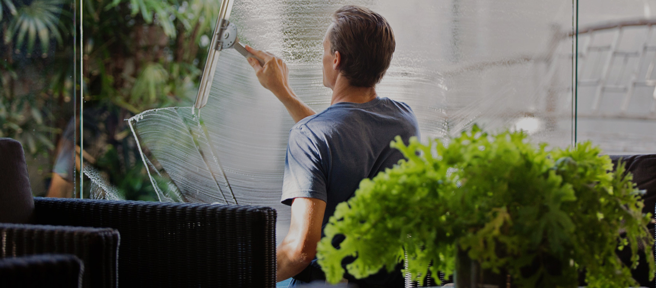 Professional Window Cleaning