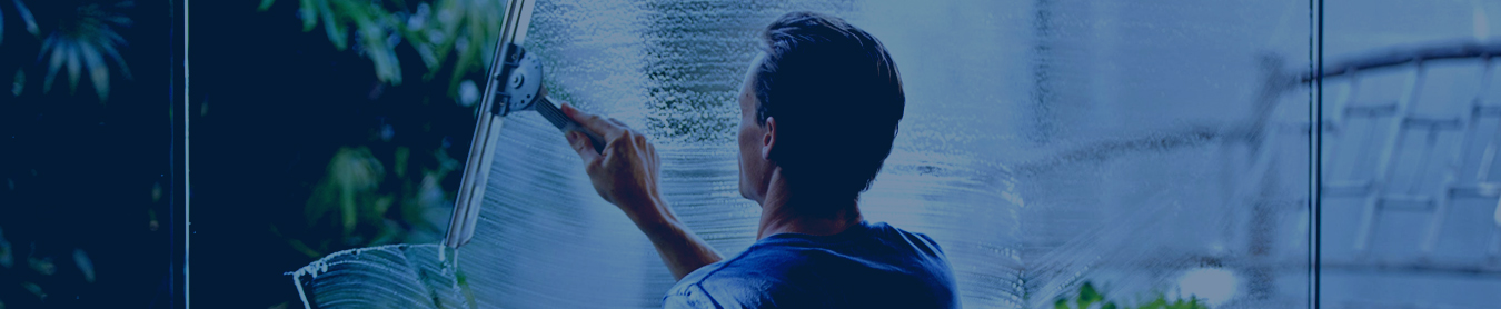 Professional Window Cleaning