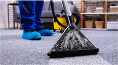Carpet Cleaning Services