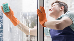 Window Cleaning